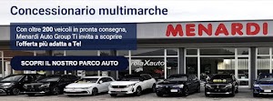Menardi Auto Group Srl place picture