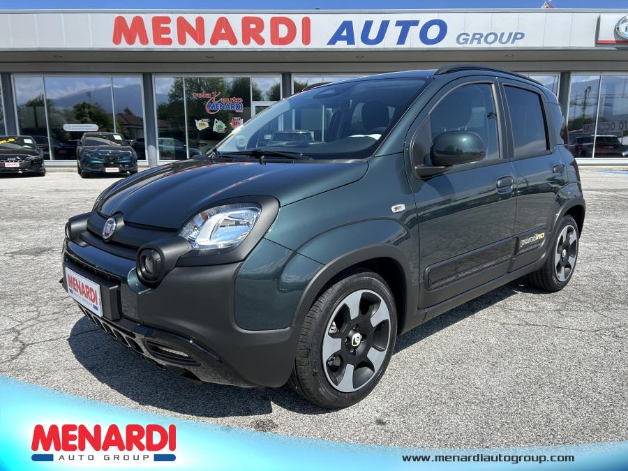 <div class="carmark">Fiat Panda</div><div class="motor">Pandina Cross 1.0 65cv Hybrid</div>